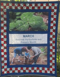 March National Agriculture and Forests Month Quilt
